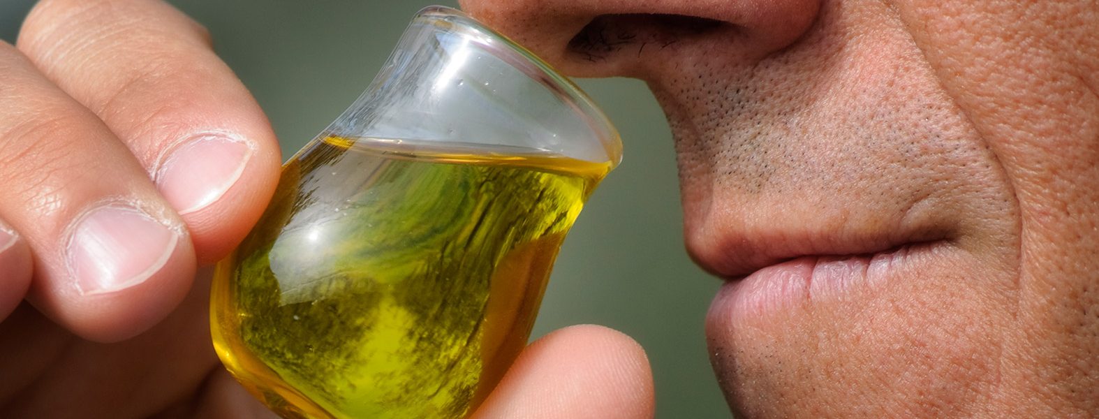 How to recognise a quality Extra Virgin Olive Oil