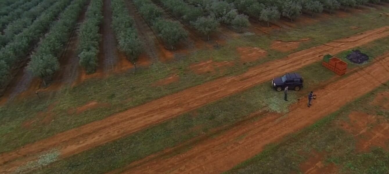Technologia w przeszłości