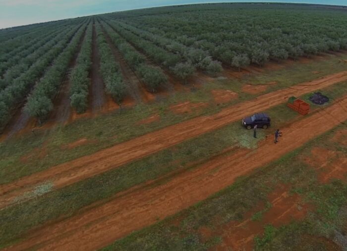 Technologia w przeszłości
