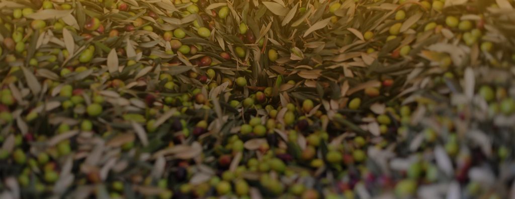 Da rifiuti a risorse