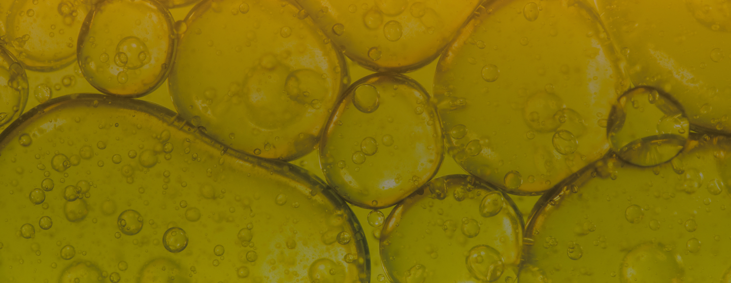 Elisir di lunga vita