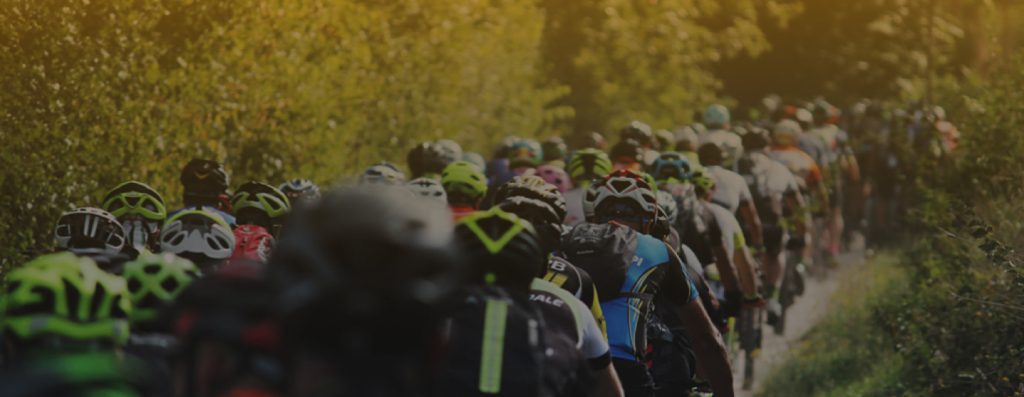 L’extravergine dei campioni