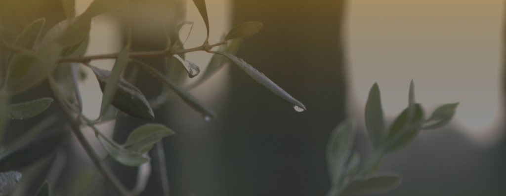 Il valore di ogni goccia