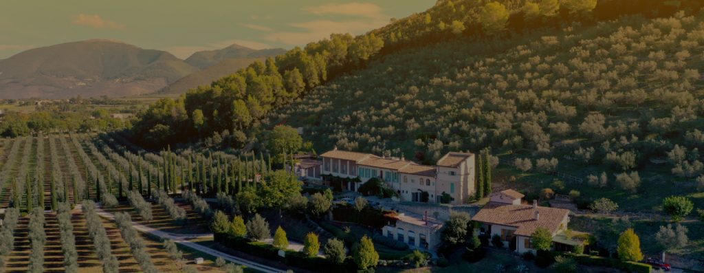 Sulle tracce della bontà