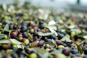 Consulta il bilancio di sostenibilità 2023