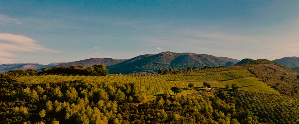 W Trosce O Przyszłość