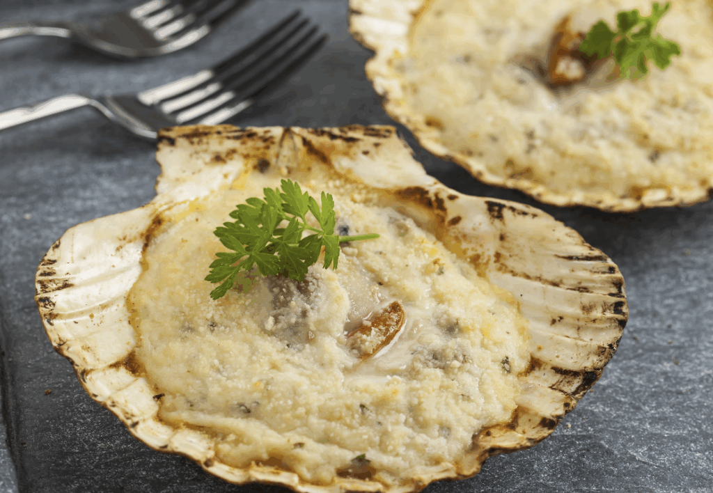 Coquilles saint-jacques