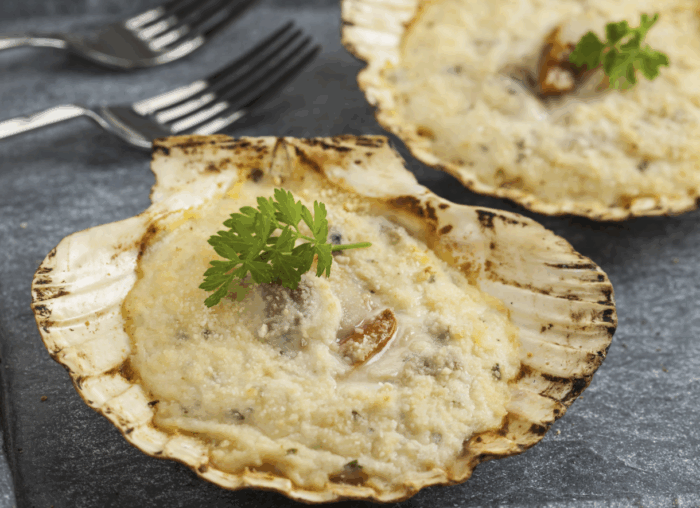 Conchiglie Saint Jacques