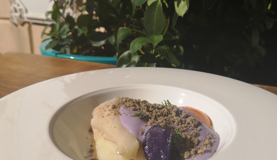 Baccalà in olio cottura con uovo a 63 °C, pesto di porri, spuma di patata viola e crumble alla segale
