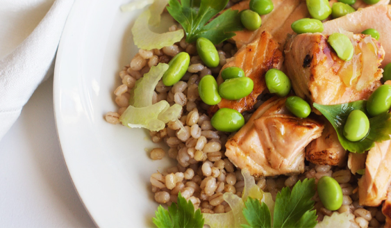 Salmone scottato su letto di orzo, edamame e sedano