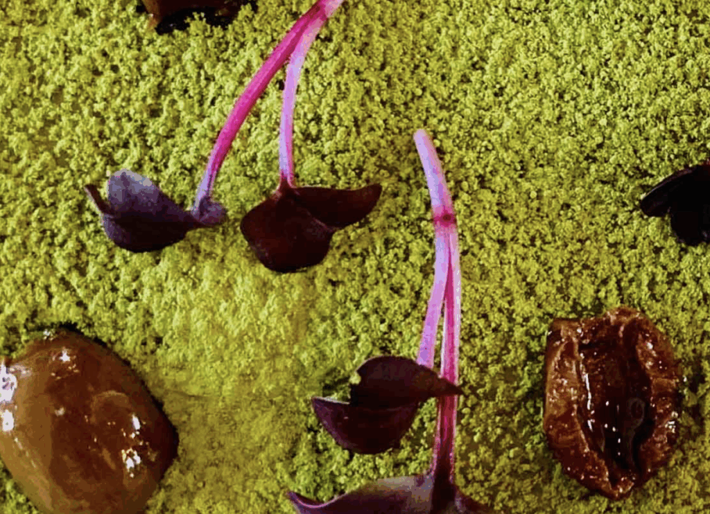 La rivisitazione della torta stroscia