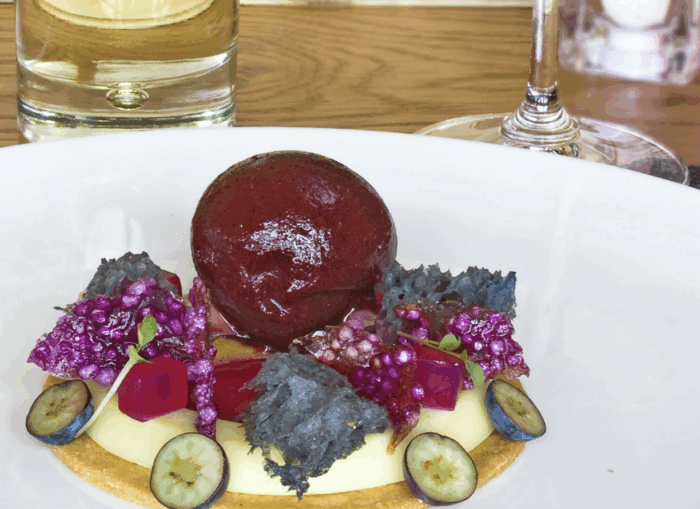 Gelatina d’olio extravergine, cavolo viola e mirtillo