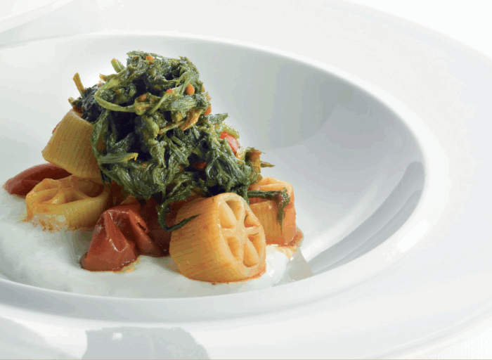 Ruote Cavalieri e germogi di finocchio selvatico di campo con pomodorino ciliegino su crema di ricotta