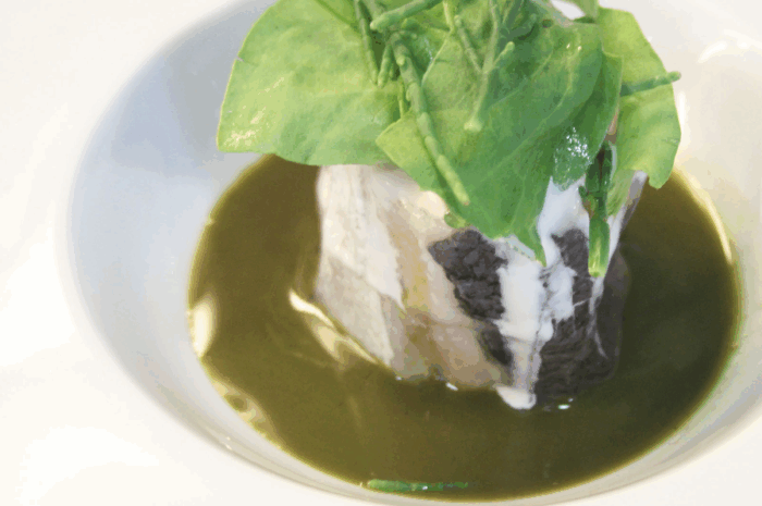 Nasello, maionese all’extravergine di ostriche ed erbe amare