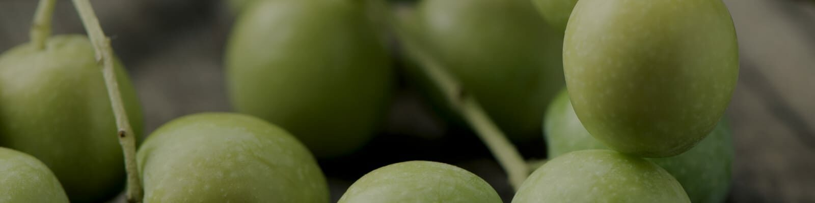 Olive Varieties