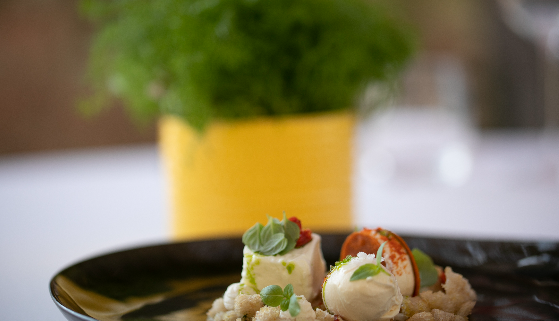 Hleb sa paradajzom i mocarelom