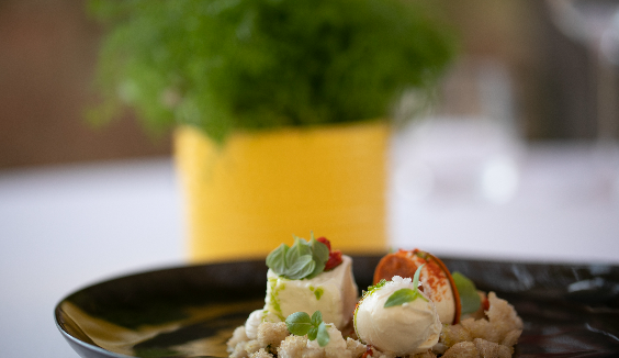 Тосты с сыром моцарелла и помидорами